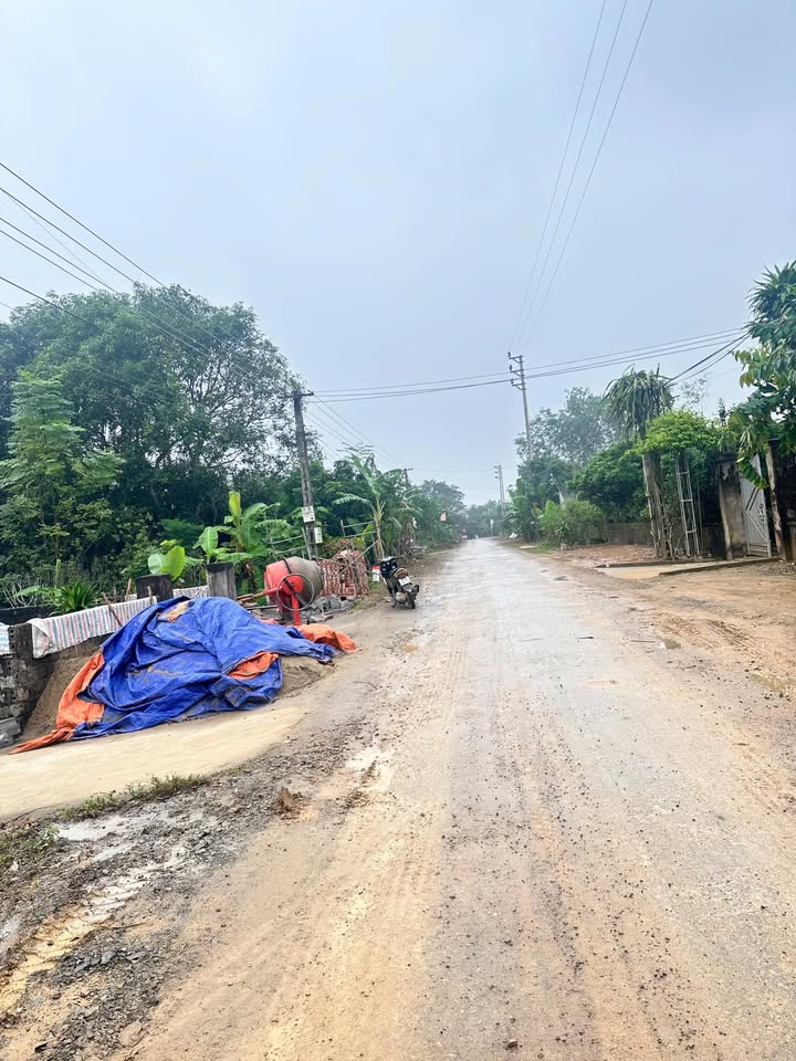 Đất nền Thọ Lâm, Thọ Xuân, Thanh Hóa 186m² - Giá chỉ 600 triệu!