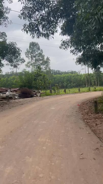 Đất thổ cư An Viễn 100m² giá 800 triệu - Sổ đỏ chính chủ, đầu tư sinh lời!