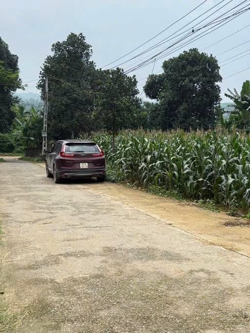 Đất thổ cư 100m² khu phố 4 Hanh Cù, Thanh Ba - Giá 400 triệu, vị trí đắc địa!