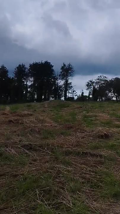 Đất thổ cư 26.350m² tại Quảng Tín, Đắk Nông giá 3,1 tỷ - Cơ hội đầu tư tuyệt vời!