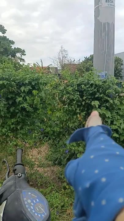 Đất nền Hòa Hiệp Nam, Đông Hòa 170m² giá chỉ 599 triệu - Cơ hội đầu tư tuyệt vời!