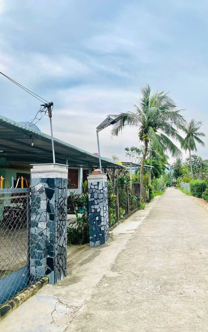 Đất thổ cư 162m² tại xã Đức Bình, giá chỉ 200 triệu - Cơ hội đầu tư tuyệt vời!