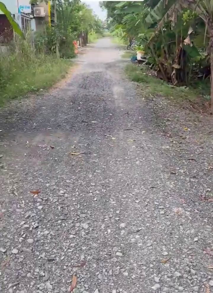 Nhà mặt tiền đường 5m Phước Lợi, Bến Lức 375m² giá 2.95 tỷ - View sông thoáng mát!