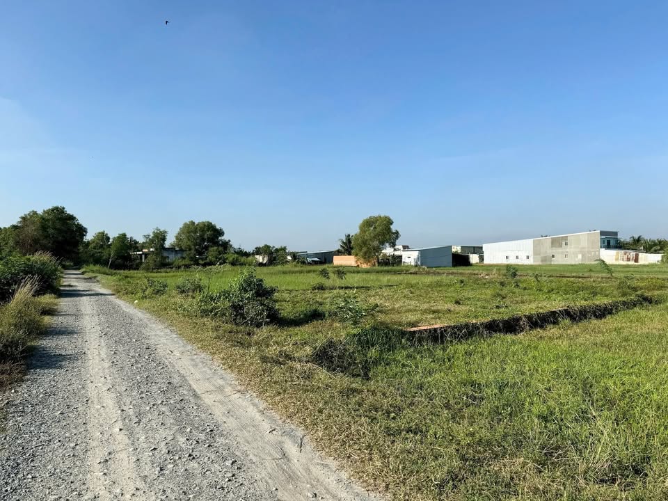 Đất nền Đức Hòa 300m² giá 1.9 tỷ - Đầu tư sinh lời ngay!