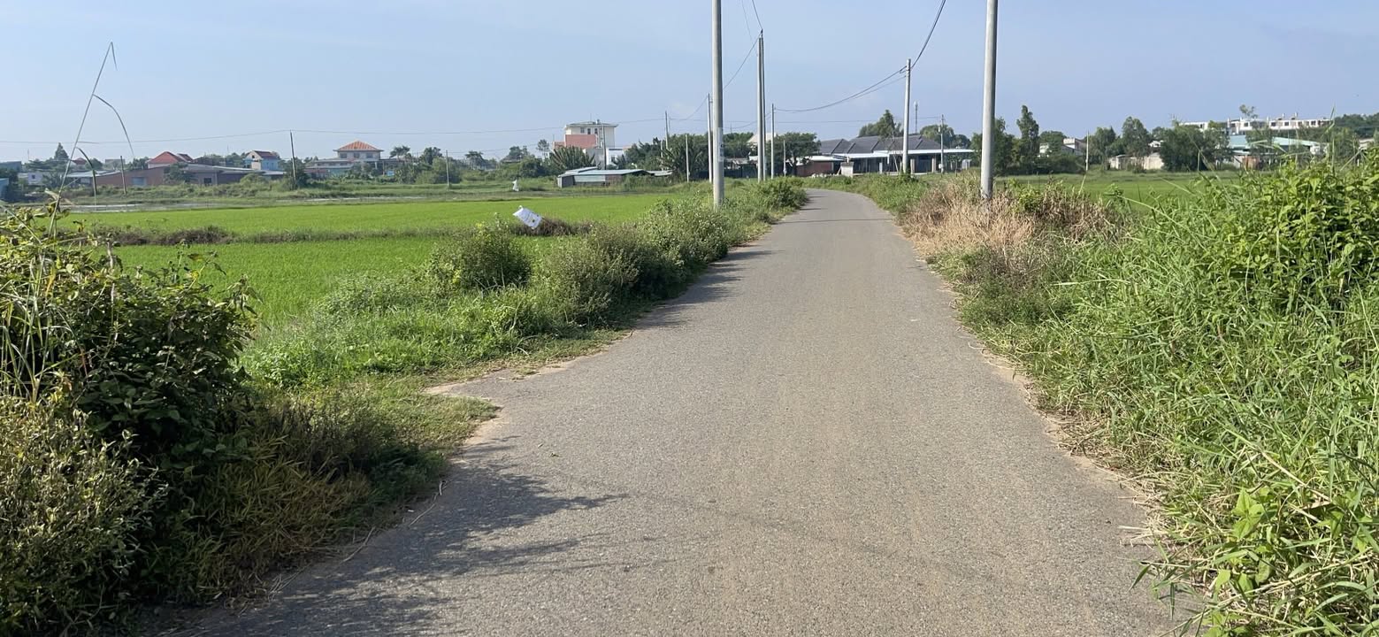 Đất trung tâm thị trấn Long Điền 3014m² giá 3.5 tỷ - Cơ hội đầu tư tuyệt vời!