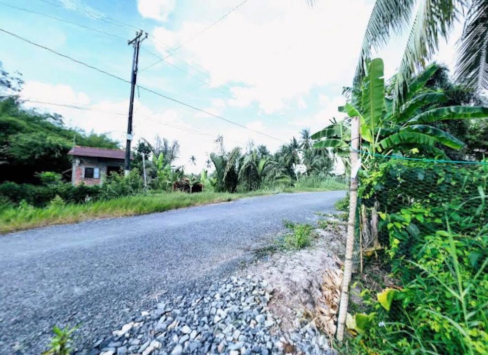 Đất Farm 4000m² tại Trung Thành Tây, Vũng Liêm - Giá chỉ 1.18 tỷ VND!