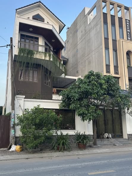 Đất mặt tiền Rạch Lùng, Tam Phú 320m² giá 31 tỷ - Đầu tư sinh lời lý tưởng!