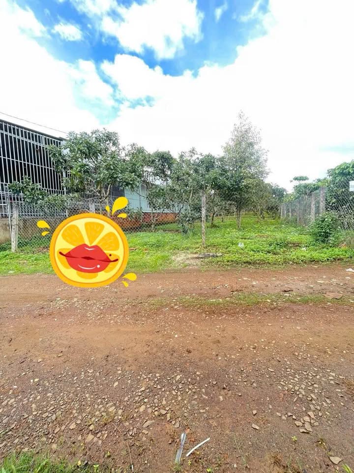 Đất nền 1028m² Hẻm Cao Bá Quát, Phường 1, Bảo Lộc - Đầu tư sinh lời lý tưởng!