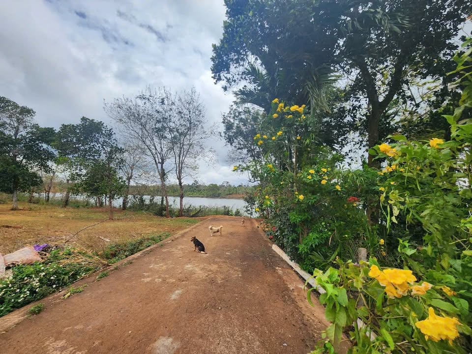 Đất nền đẹp tại Hòa Thắng, Buôn Ma Thuột 250m² giá 1.9 tỷ - Đầu tư sinh lời lý tưởng!