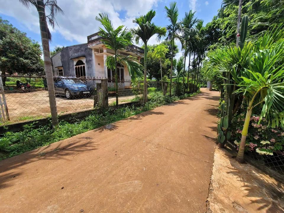 Đất nền Cư Suê 1600m² giá 1.87 tỷ - Đầu tư sinh lời hấp dẫn!