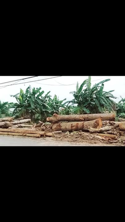 Đất mặt đường 22 Phúc Thành 271m² giá 1 tỷ - Tiềm năng kinh doanh lớn!