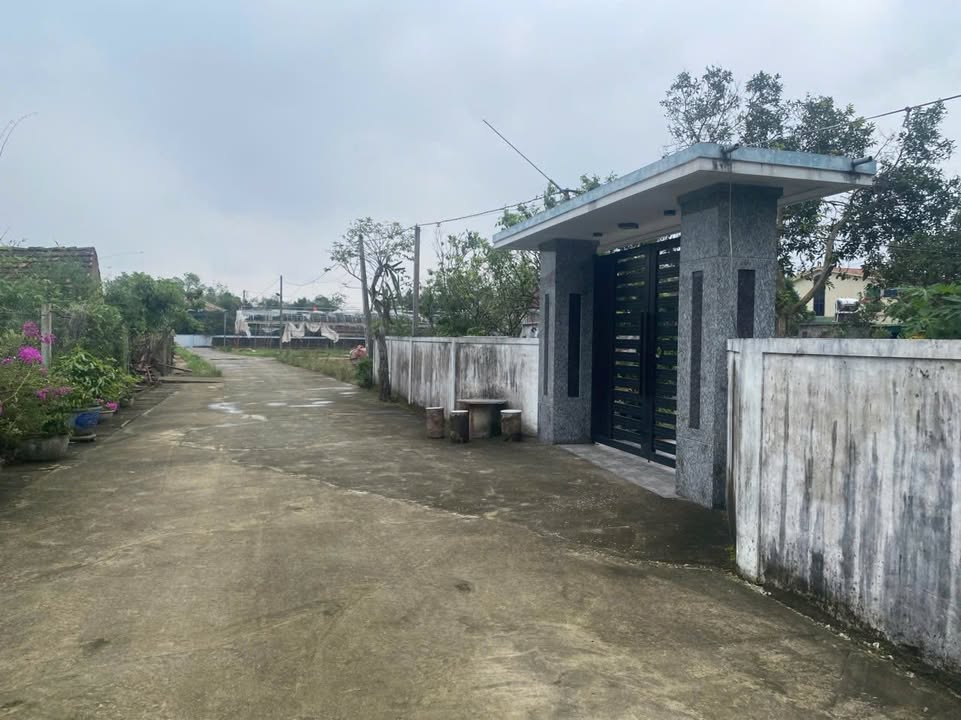 Đất nền xóm Trường Lân, xã Đông Lộc 375m² giá 2.95 tỷ - Cơ hội đầu tư hấp dẫn!