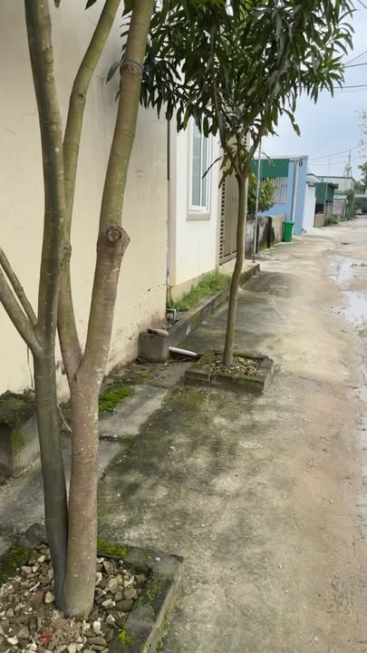 Đất nền Khu đô thị VSIP Hưng Tây 200m² giá thỏa thuận - Cơ hội đầu tư tốt!