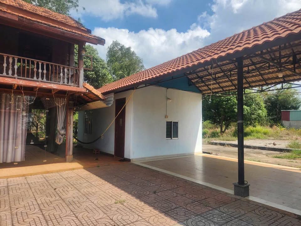 Cho thuê nhà vườn Nghĩa Thành, Châu Đức 1080m² giá 2.5 triệu - Không gian xanh lý tưởng!