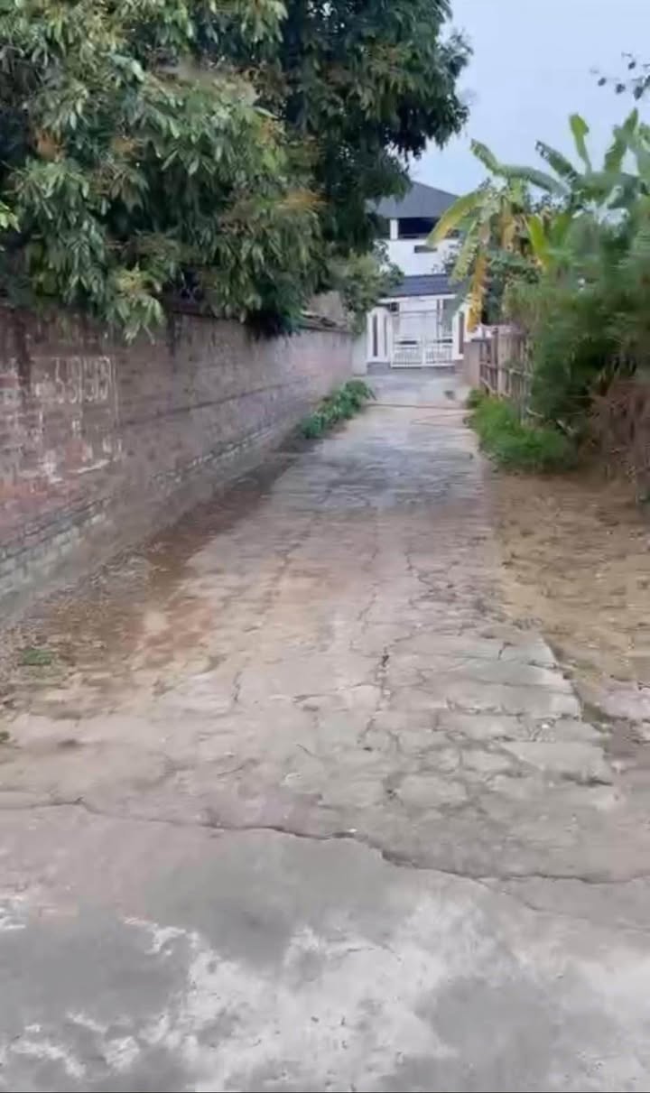 Đất thổ cư 100m² tại Phường Thanh Miếu, Việt Trì - Giá chỉ 1 tỷ, cơ hội đầu tư tuyệt vời!