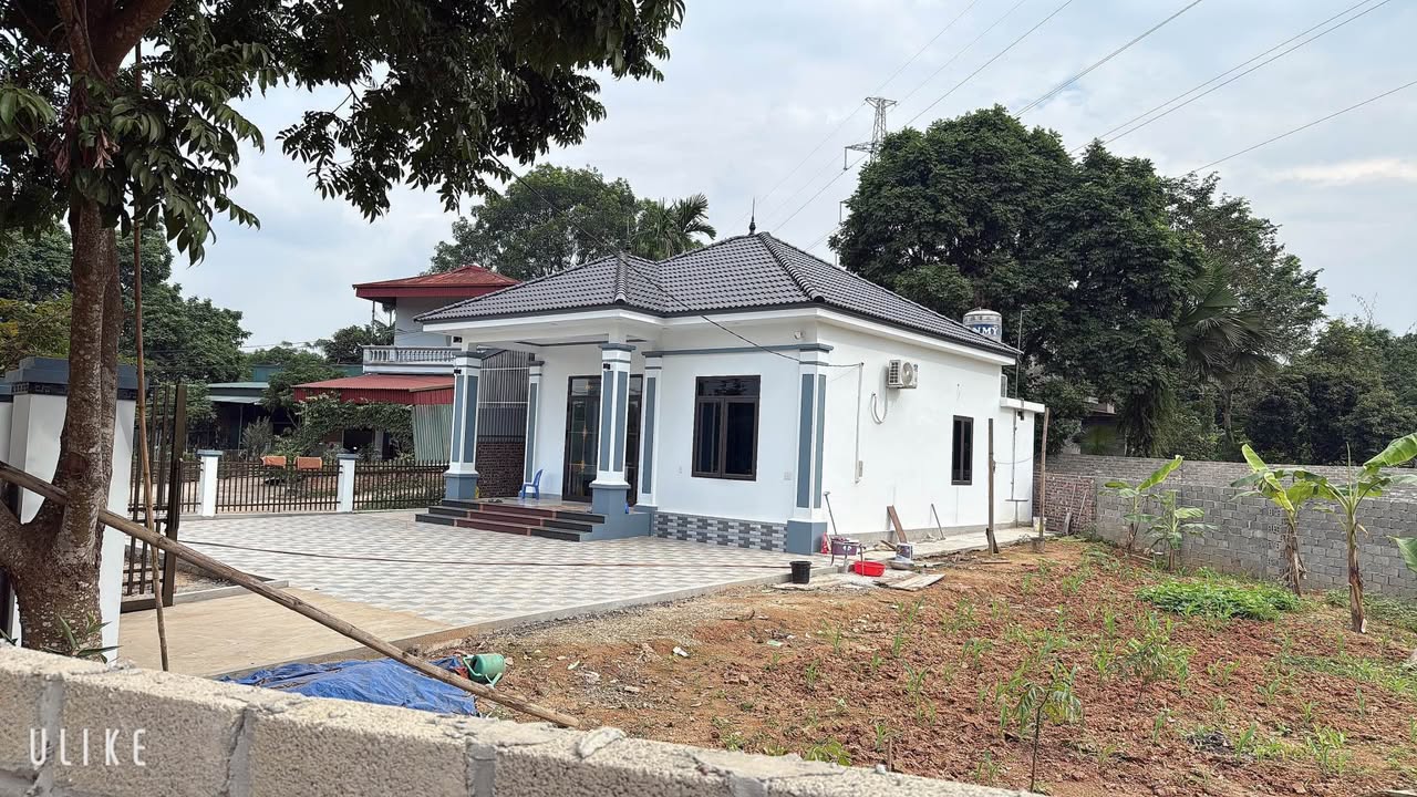 Đất nền Khu 6 Phú Hộ, Phường Phong Châu 128m² giá chỉ 600 triệu - Cơ hội đầu tư tuyệt vời!