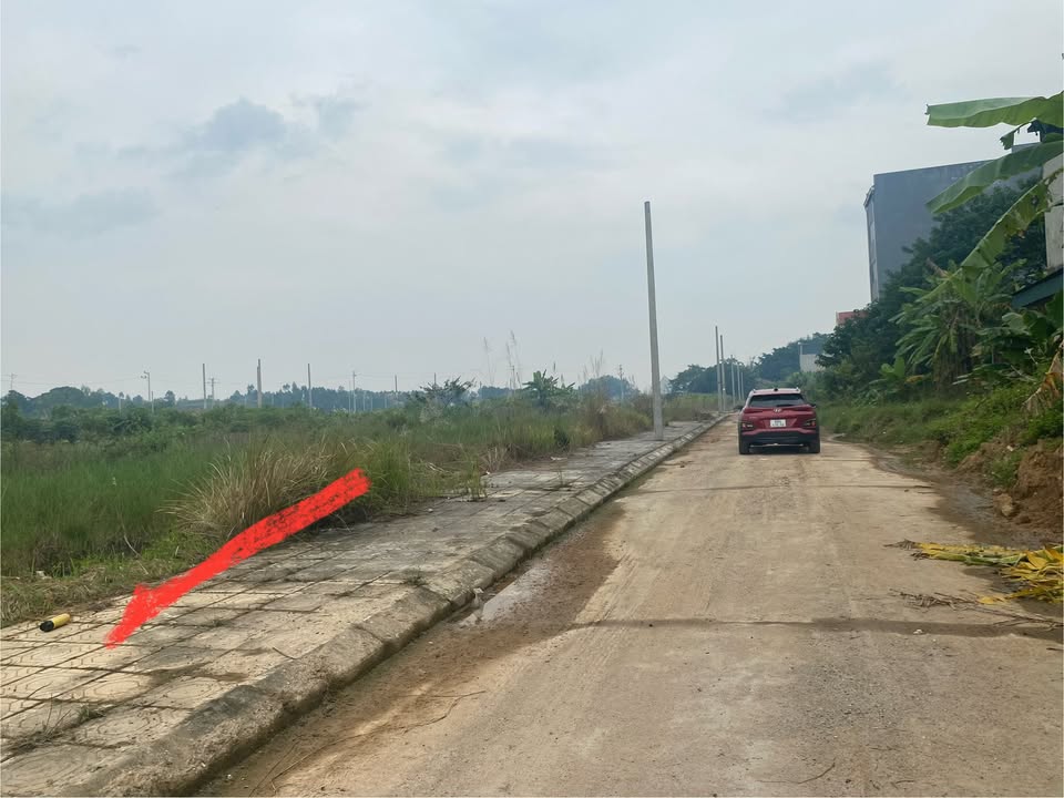 Đất thổ cư 100% tại Tiên Kiên, Lâm Thao - Giá chỉ 800 triệu!