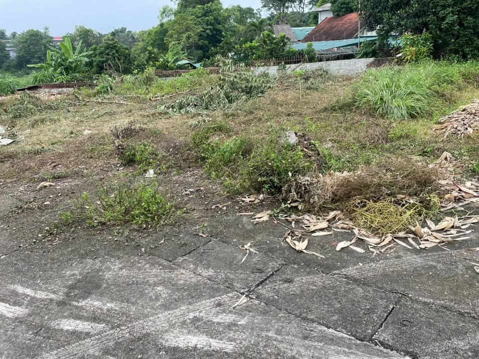 Đất Vân Phú, Việt Trì 85m² giá 1.5 tỷ - Cần tiền bán gấp!