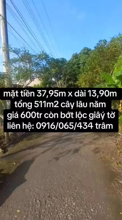 Đất nền mặt tiền đường Dàl, Chợ Mới, An Giang 511m² giá 600 triệu - Cơ hội đầu tư hấp dẫn!
