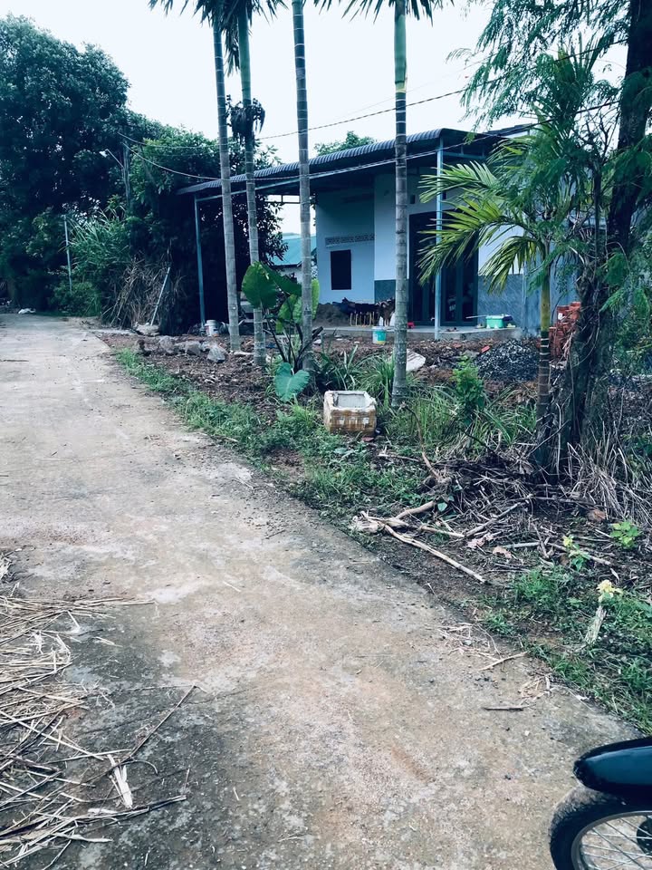 Đất thổ cư 240m² tại Tâm Thắng, Cư Jút - Giá chỉ 550 triệu, đầu tư sinh lời!