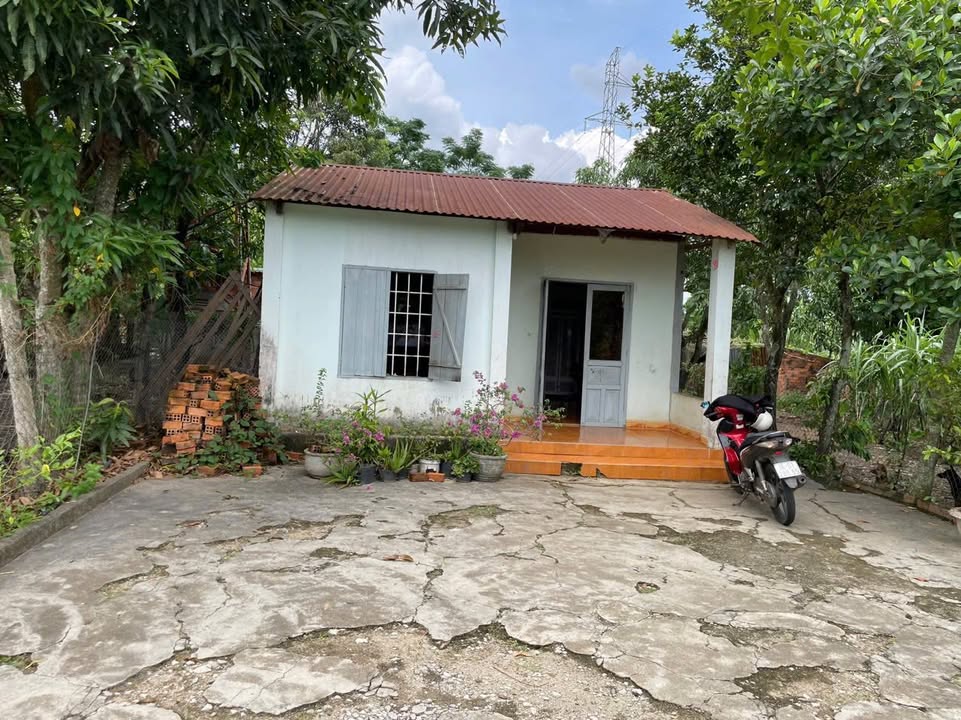 Đất tặng nhà tại xã Tâm Thắng, Cư Jút - Diện tích 630m², giá 1.3 tỷ!