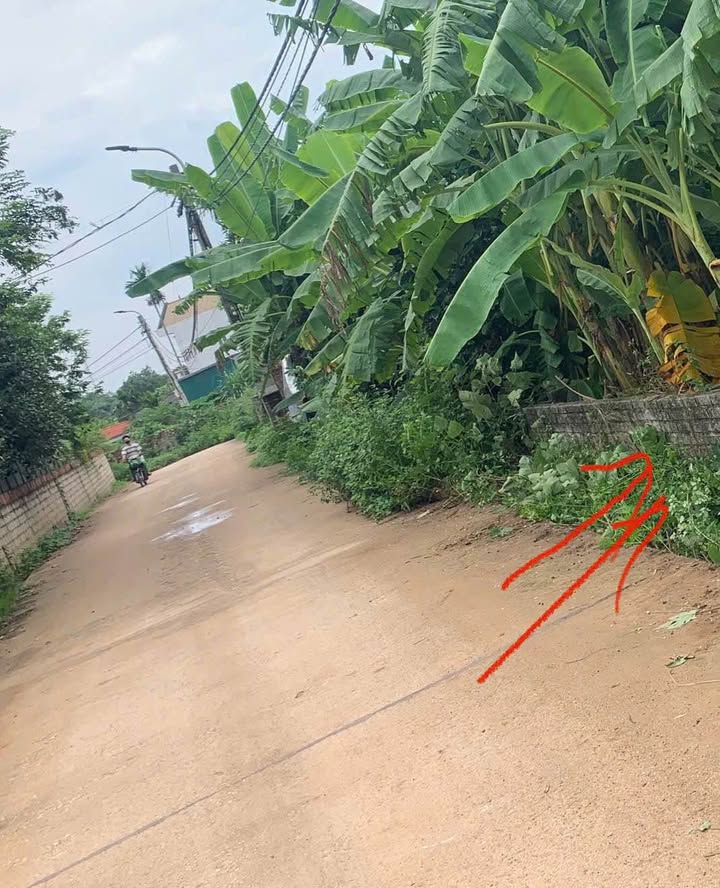 Đất nền Thanh Vân, Tam Dương, Vĩnh Phúc 200m² chỉ 1.6 tỷ - Đầu tư sinh lời ngay!