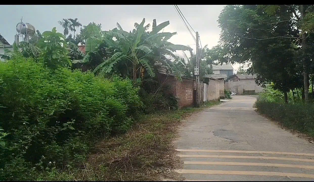 Đất thổ cư Đồng Tĩnh Tam Dương 196m² giá 1 tỷ - Đường nhựa thông thoáng, ô tô vào tận nơi!