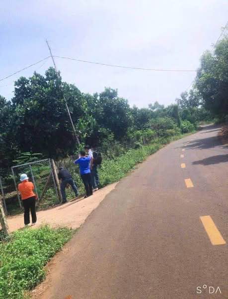 Đất vườn Tân Lâm Xuyên Mộc 9700m² giá 4.946 tỷ - Đầu tư sinh lời ngay!