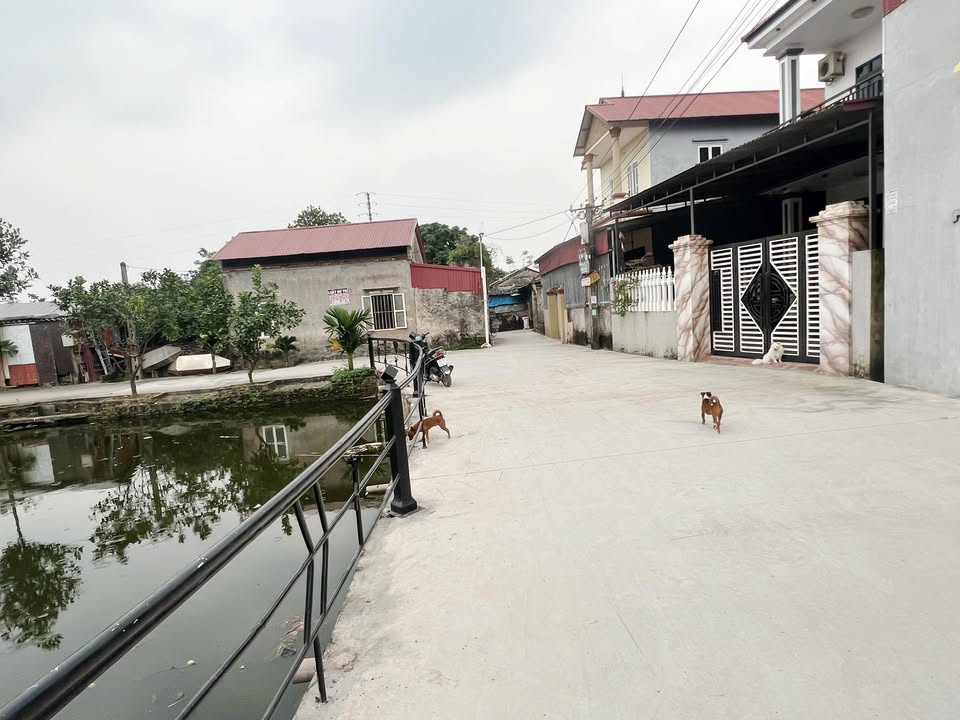 Đất nền Thôn Đa Ngưu, Tân Tiến, Văn Giang 84m² - View Hồ Thô Đa Ngưu, Sổ hồng chính chủ!