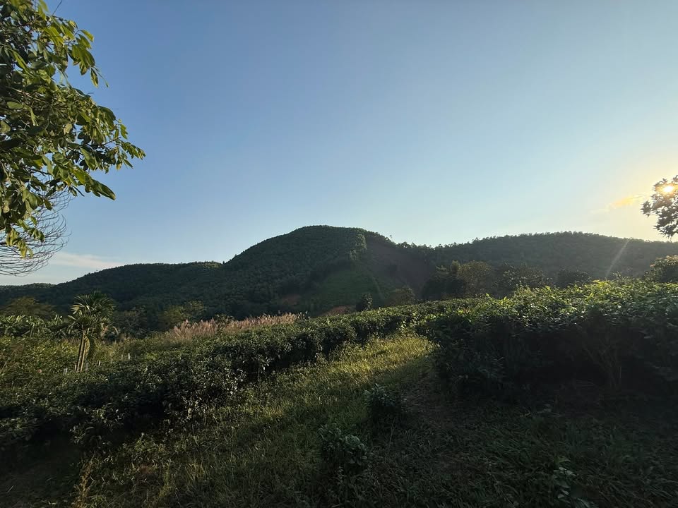 Đất vườn Phúc Thuận, Phổ Yên 5.000m² giá thỏa thuận - View Tây Bắc tuyệt đẹp!