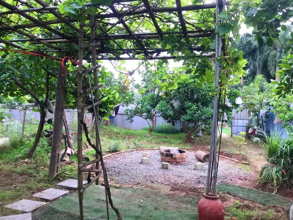 Đất trồng cây hàng năm tại Phường Đông Ngạc, Bắc Từ Liêm, 1080m² - Sổ đỏ chính chủ, bán gấp!