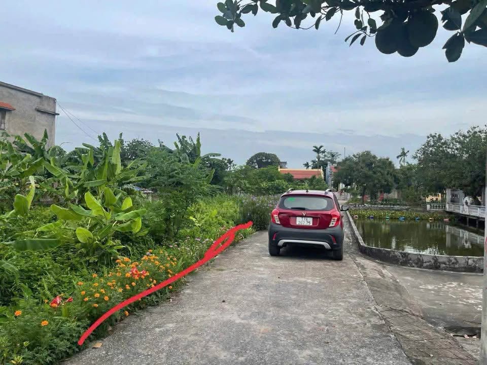 Đất nền phường Minh Tân, Kiến Xương 117m² giá chỉ 300 triệu - Đường ô tô thông thoáng!