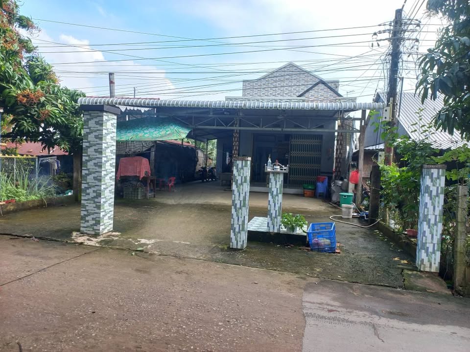 Nhà cấp 4 mặt tiền đường bê tông tại Cù Lao Giêng, An Giang - Giá chỉ 980 triệu!