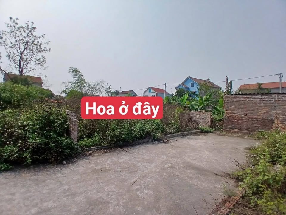 Đất nền 81m² tại Hiền Ninh, Sóc Sơn - Ô tô tải vào tận nơi chỉ 2 tỷ!