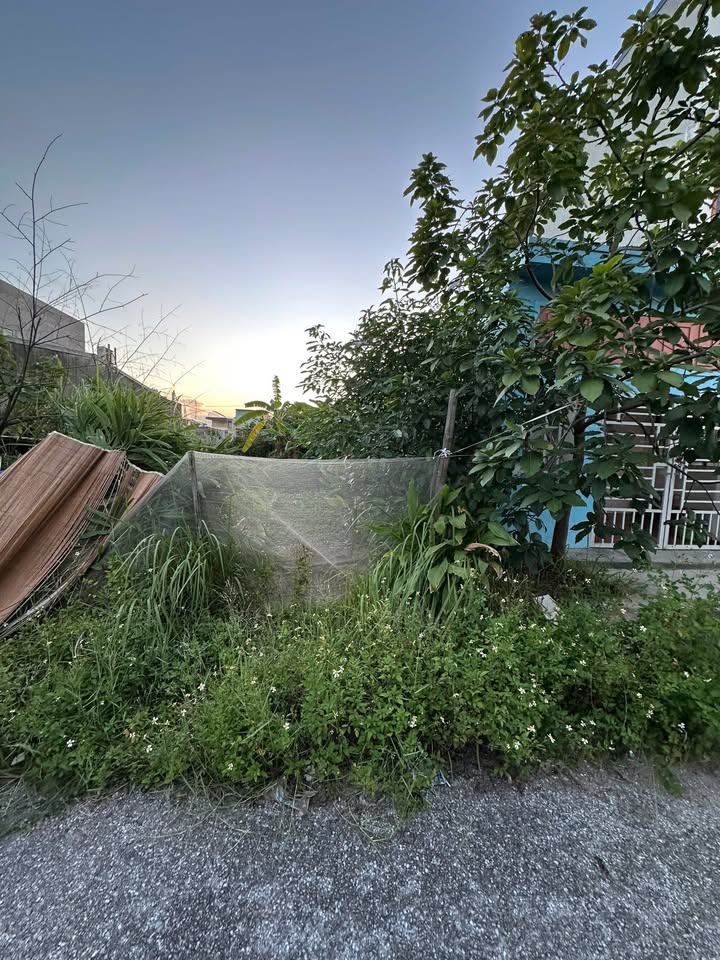 Chung cư Lê Sáng An Hồng 90m² giá 2 tỷ - Vị trí đắc địa gần trung tâm!