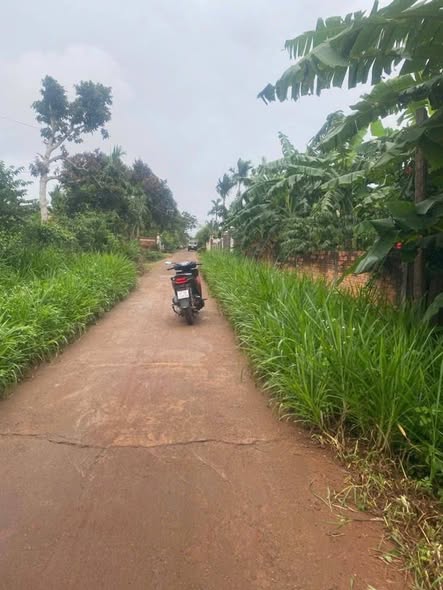 Đất nền Phú Xuân 1000m² giá 90 triệu - Mặt tiền đường bê tông rộng rãi!