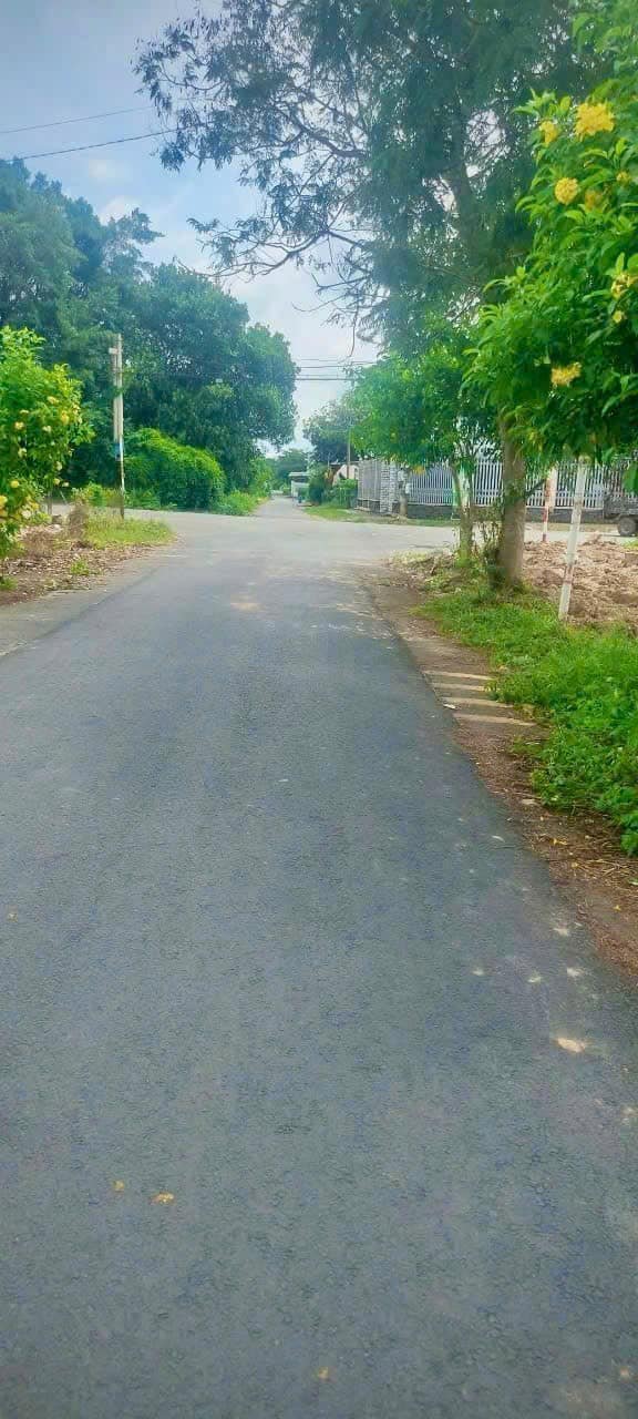 Đất nền Tân Thông Hội Củ Chi 95m² giá 2.3 tỷ - Vị trí đẹp, kinh doanh thuận lợi!