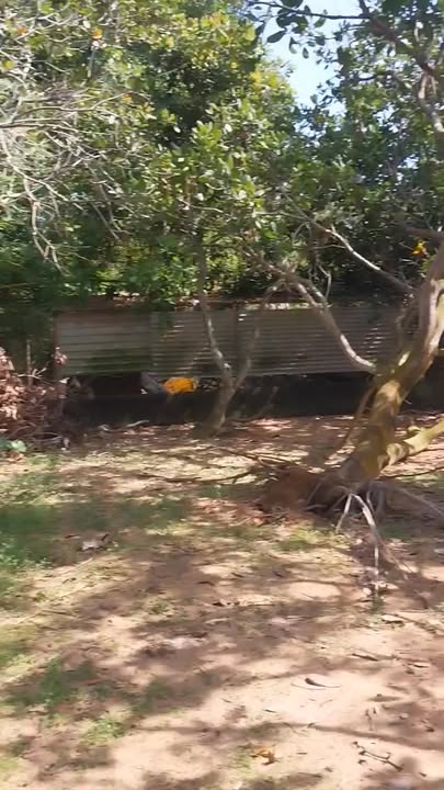 Đất nền Xuân Lộc Đồng Nai 350m² giá 8.75 tỷ - View núi tuyệt đẹp!