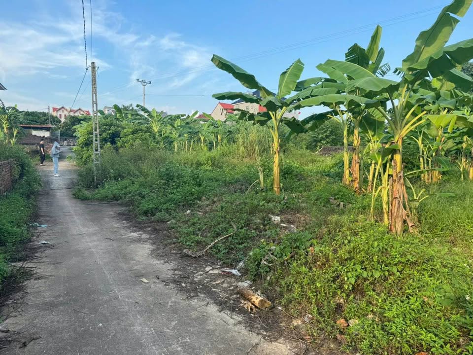 Đất nền Lục Nam Bắc Giang 151m² giá chỉ 7xx triệu - Đường thông thoáng, thổ cư 80m²!