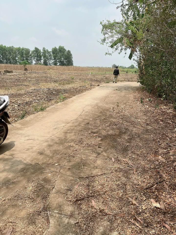 Đất góc 2 mặt tiền tại xã Bàu Hàm, Trảng Bom, 1107m² giá 820 triệu - Cơ hội đầu tư tốt!