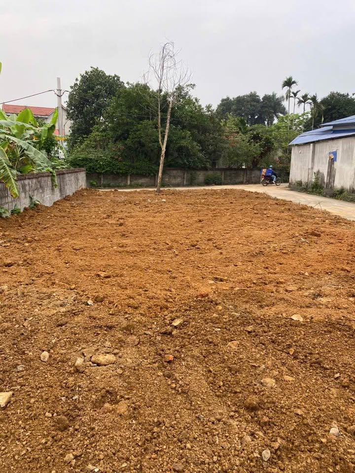 Đất thổ cư 230m² tại Đồng Vàng, Quốc Oai - Giá đầu tư hấp dẫn!