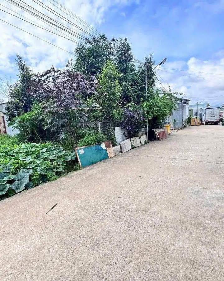 Nhà cấp 4 hẻm 52 Lý Thường Kiệt, Đức Trọng, 207m² - Đường bê tông xe tải vào thoải mái!