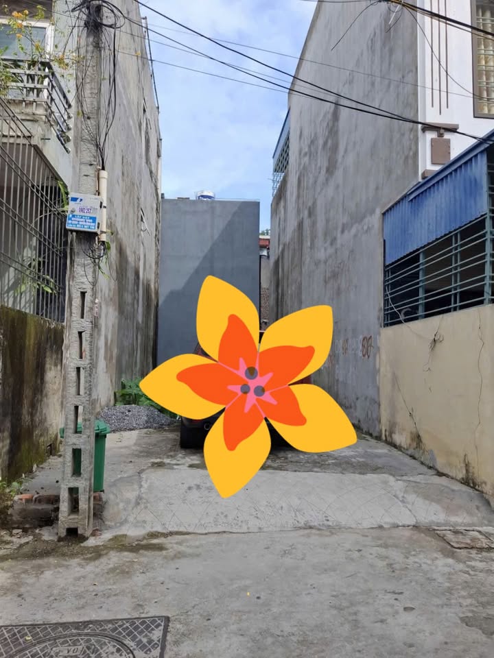 Đất nền 67m² hướng Nam tại đường Trần Nhân Tông, Kiến An - Sổ đỏ chính chủ, giá chỉ 2.3 tỷ!