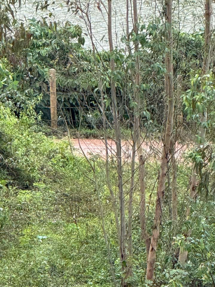 Đất Farm 74.000m² xã Hra, giá 1,4 tỷ - Vị trí đẹp, thuận tiện giao thông!