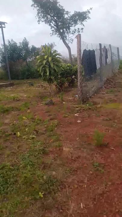 Đất nền 500m² xã Nâm N'Jang Đắk Song giá 850 triệu - Chính chủ bán gấp!