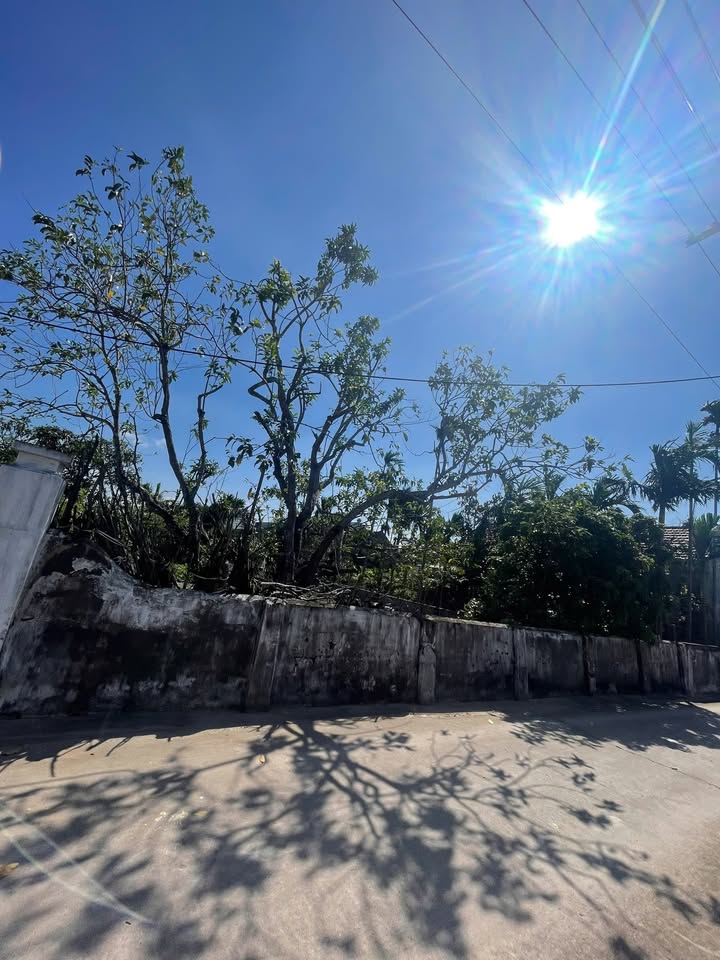 Đất Bạch Long 126m² - Mặt tiền 6m, Giá Thỏa Thuận - Cơ hội vàng đầu tư!