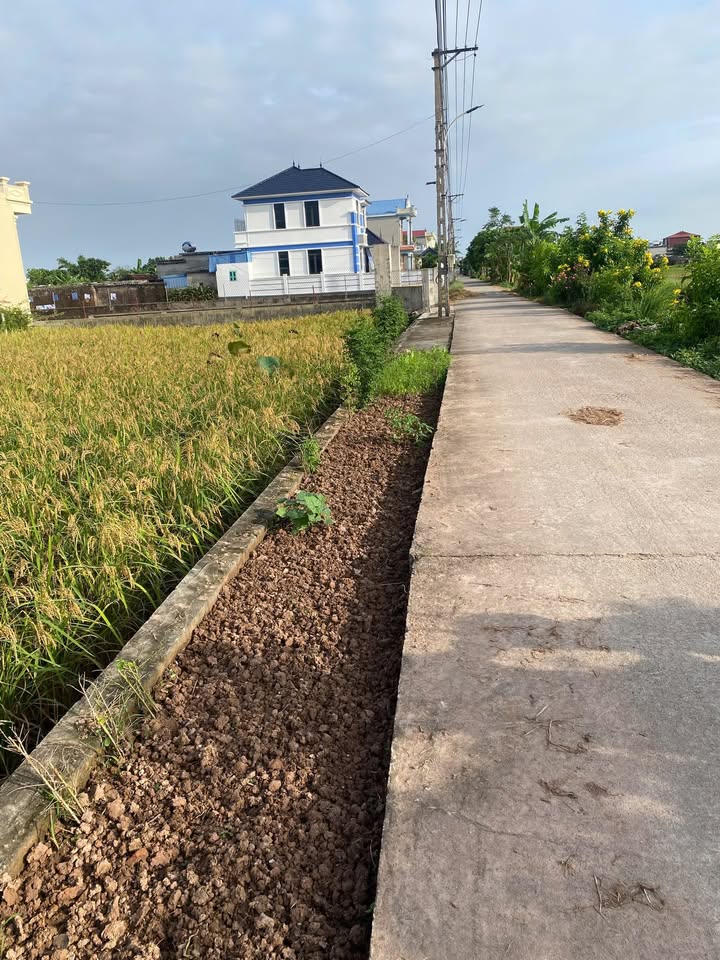 Lô đất đẹp 147m² xã Xuân Giang giá chỉ 770 triệu - Cơ hội đầu tư hấp dẫn!