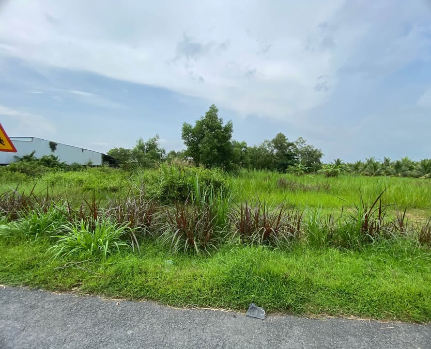 Đất mặt tiền Tỉnh Lộ 911, 600m² giá 2.4 tỷ - Tiềm năng kinh doanh tuyệt vời!