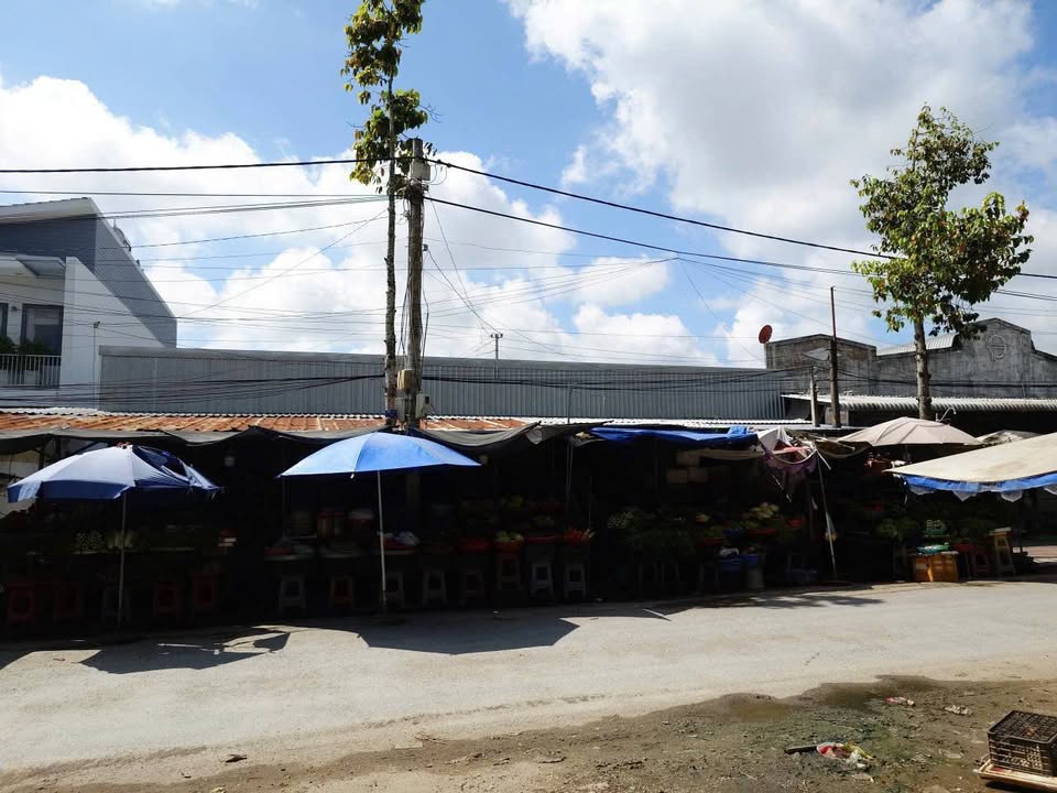 Đất mặt tiền chợ KCN Long Đức 1625m² giá 4.6 tỷ - Cơ hội đầu tư hấp dẫn!