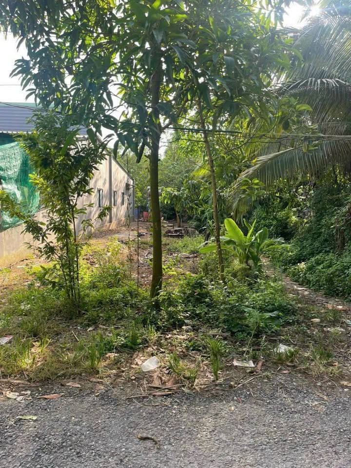 Đất nền 150m² Đinh Công Bê, Tịnh Thới, giá 750 triệu - Sổ hồng chính chủ!